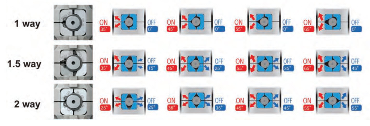 CUSCO Pro Adjust LSD Cam Chip Configurations