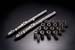 Greenline Motorsports - JUN  Stage 1 Camshaft Kit