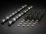 Greenline Motorsports - JUN  Stage 2+ R Camshaft Kit