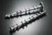 Greenline Motorsports - Monster Sport  High Flow Camshaft