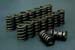 Greenline Motorsports - NAPREC  Reinforced Race Valve Springs