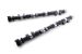 Greenline Motorsports - Real Speed Engineering SPEC-S Camshaft Set