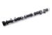 Greenline Motorsports - Real Speed Engineering SPEC-S Camshaft