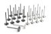 Greenline Motorsports - Real Speed Engineering  Racing Valves