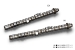 Greenline Motorsports - TODA  High Power Profile Camshaft
