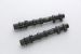 Greenline Motorsports - TOMEI PROCAM Camshaft