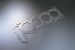 Greenline Motorsports - TOMEI  Head Gasket