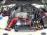 Greenline Motorsports - Blitz  Advance Power Cleaner