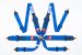 Greenline Motorsports - SARD  6 Point Harness