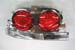Greenline Motorsports - East Bear  LED Tail Lamp