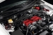 Greenline Motorsports - Blitz  Strut Tower Bar