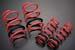 Greenline Motorsports - Colt Speed  Low Down Spring Kit