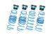 Greenline Motorsports - CUSCO  Spring Set