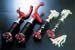 Greenline Motorsports - J Speed  Suspension Kit Type H