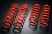 Greenline Motorsports - Monster Sport  Height Up Spring Set