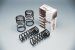 Greenline Motorsports - RS-R  Ti2000 Suspension Coil
